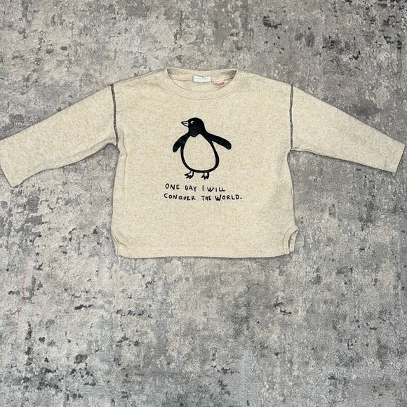 Zara Other - Zara Toddler Sweater Size 9-12 Months